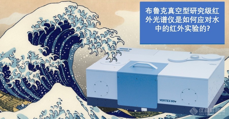 vacuum vertex 80v.jpg
